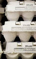 Egg Cartons Egg Cartons