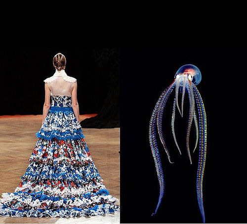 Joesph Font Haute Couture