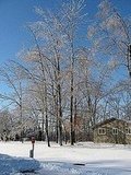 Some of my Favorite Scenic Shots