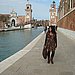 Venice Biennale
