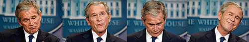 Shrinking W: Is He a Puppet, Fool, or Sadist?