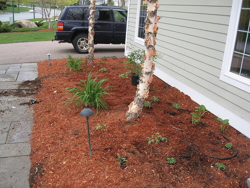 our friends garden 
