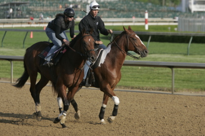 Horses or Horse Power: Which May racing event do you prefer?