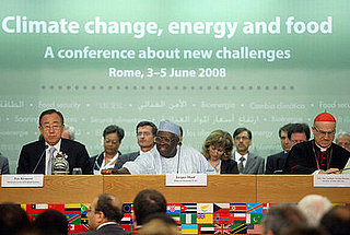 UN Leader: World Needs 50 Percent More Food