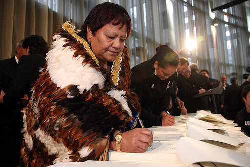 Treelord Treaty Makes Native New Zealanders Lords of Forests
