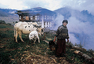 Computer Games a Threat to Bhutan's New Democracy? 