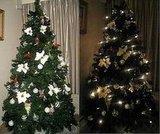 My Christmas tree