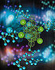 Peptide