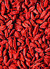 Definition of Goji Berry