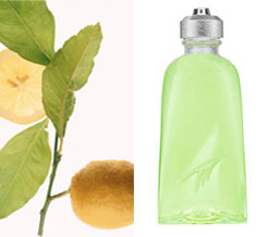 Definition of Citrus in the Fragrance Group