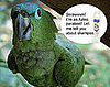 In Which Bella Is Tricked by Shampoo in the Jungle!