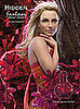 Britney Spears Hidden Fantasy