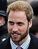 Do You Prefer Prince William Clean Shaven or Bearded?