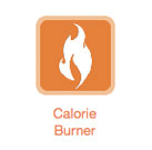 How Many Calories Did You Burn Walking the Dog?