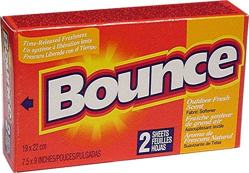 Bring Bounce Along For the Ride Bring Bounce Along For the Ride