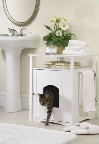 How Often Do You Clean the Litter Box?