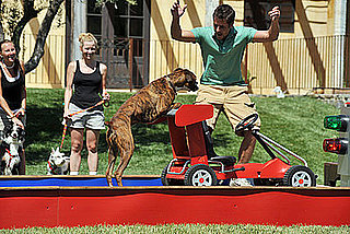 Presley and Travis Won Greatest American Dog