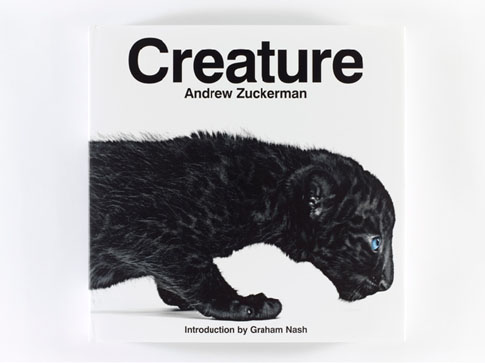 Creature Creature