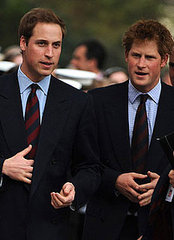 Sugar Bits — William and Harry to Join Motorbike Rally