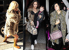 Kate Moss, Lily Allen, Myleene Klass, Leopard Print, Coat