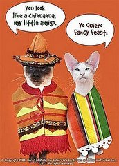Will you have a muy feliz Cinco de Mayo?