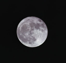 Mommy Dearest: Do Full Moons Bring on Labor? 