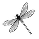 Dragonflye