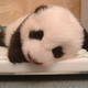 huihuipig0 huihuipig0