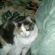 LouLou7