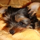 esthersim's picture
