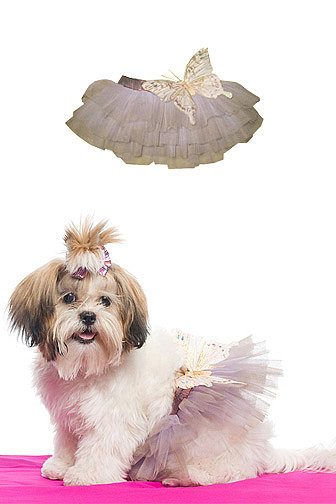Butterfly tutu { by Aubrey O'Day }