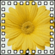 myrosyposy