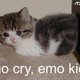 ECR0Pro0Animals