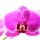 JamanWetter's picture