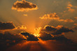 Seeking the sun.......