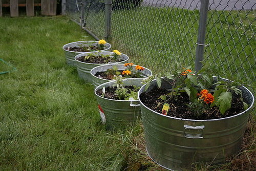 My container Garden