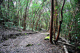 Kuamoo-Nounou Trail