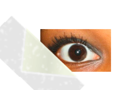 How to get Perfectly Winged eyeliner!