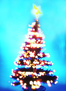 How-To: Dispose of Your Christmas Tree