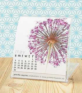 Etsy Find: Jennifer Squires 2009 Photo Desk Calendar