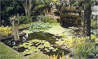 Coveted Crib: Roberto Burle Marx's Tropical Home Turf