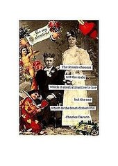The Card Shop: Cheeky Valentine's Day Cards