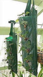 DIY: Hanging Grow Bags for Your Plants