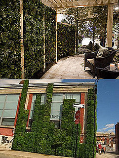Cool Idea: Living Wall Systems