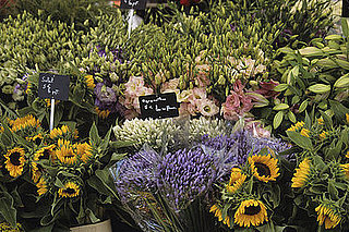 Where Do You Buy Your Flowers?
