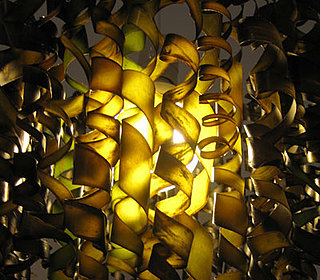 Guess What This Lamp Is Made From