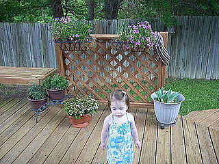 Su Casa:  This Garden Is Coming Up Roses
