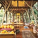 Teak Chic