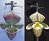 Love It or Hate It? Orchid Urinals