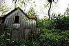 Midday Muse: Fallow Farmhouse